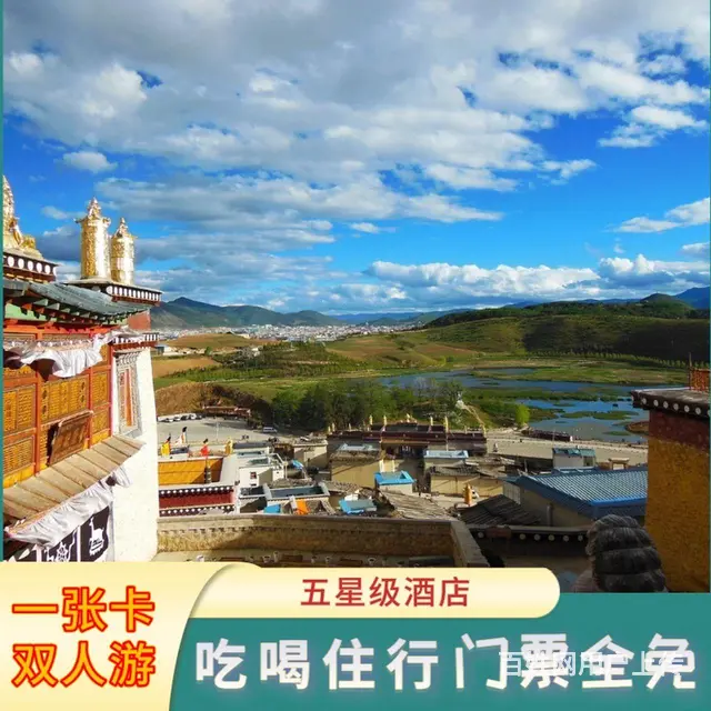 大众 - 图片 2