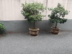 套房合租
