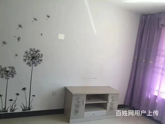 【搞定了！】超低价出租 全套家具家电 - 图片 2
