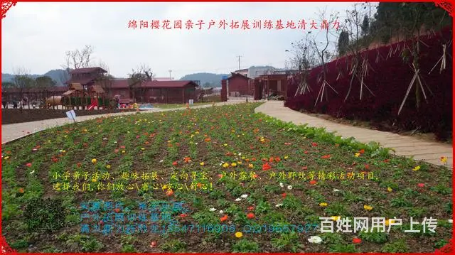 活动主题：大手牵小手，你我共成长 亲子趣味拓展训练 - 图片 5