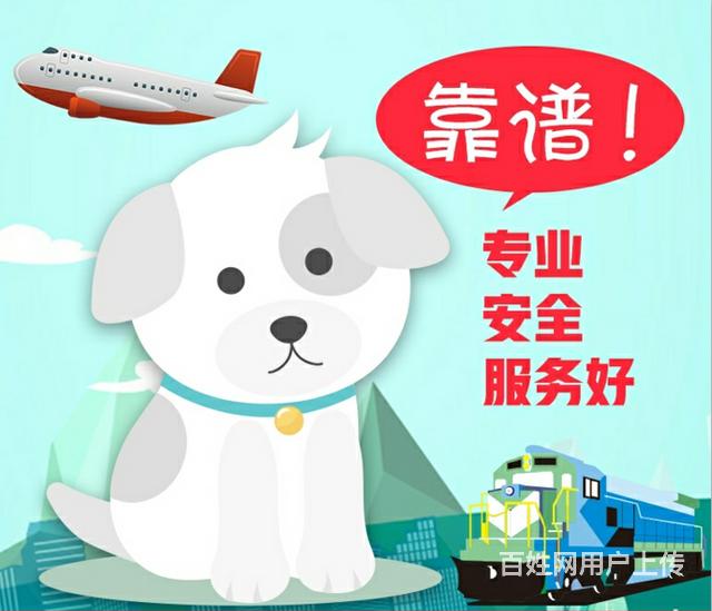 徐州到成都宠物托运汽车的图片