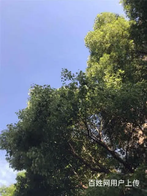 文新南北嘉绿西苑73.00平空房出租 - 图片 11