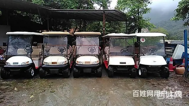 出售出租电动观光车·房产老爷车，会所观光车 - 图片 2