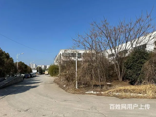 （城市在线找房免费）铜山新区标准钢结构厂房出租 - 图片 6