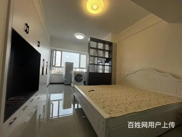 左岸春天一居室38平35万 普通住宅 精装修 - 图片 3
