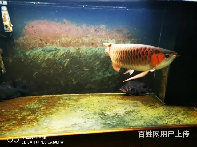 上岸！！ - 图片 3