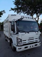 2019年上牌照仓栅五十铃货车