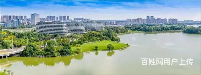 新城大龙湖旁金融集聚区1300平整层纯办公 - 图片 12