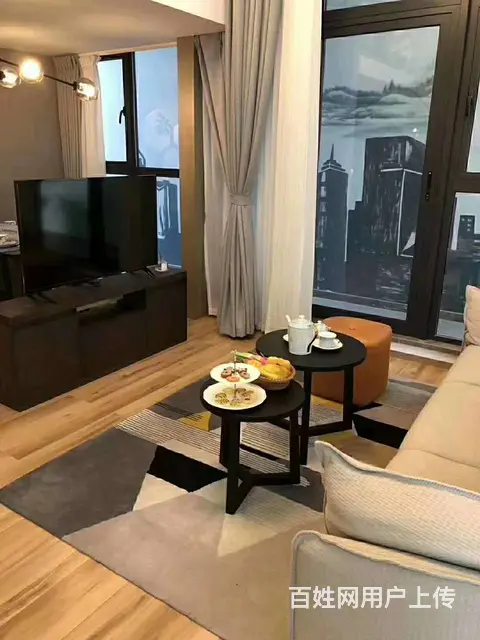奥莱金街 转塘纯地铁口公寓两房 精装修送家电送阳台 - 图片 5
