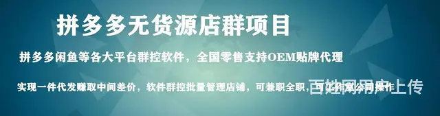 拼多多店群蓝海7天起店，拼多多精细化运营+轻付费 - 图片 4