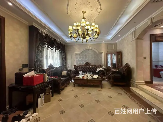 翠湖天地璞园别墅 580米 简欧风 前后花园  带独立车库 - 图片 10