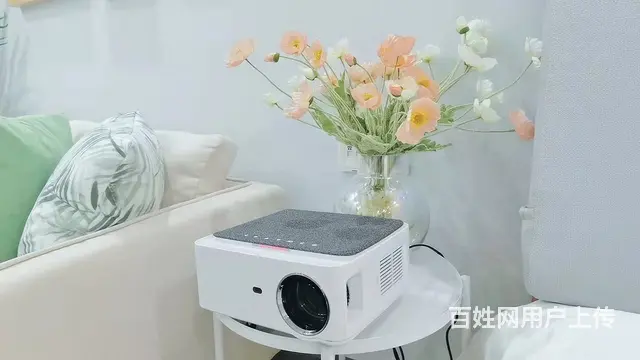 湖塘万博民宿转长租，2600-3000/月，无中介费 - 图片 2