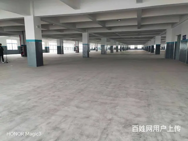 碧溪沿江开发区32000平方标准厂房出租，场地大，环境优美。 - 图片 6