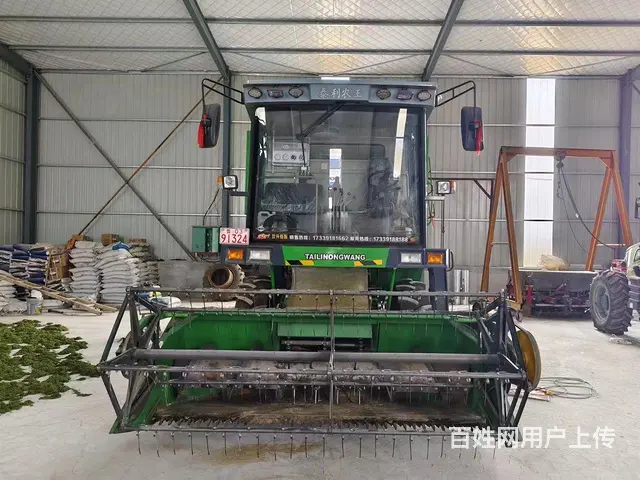 22年泰利农王 - 图片 3