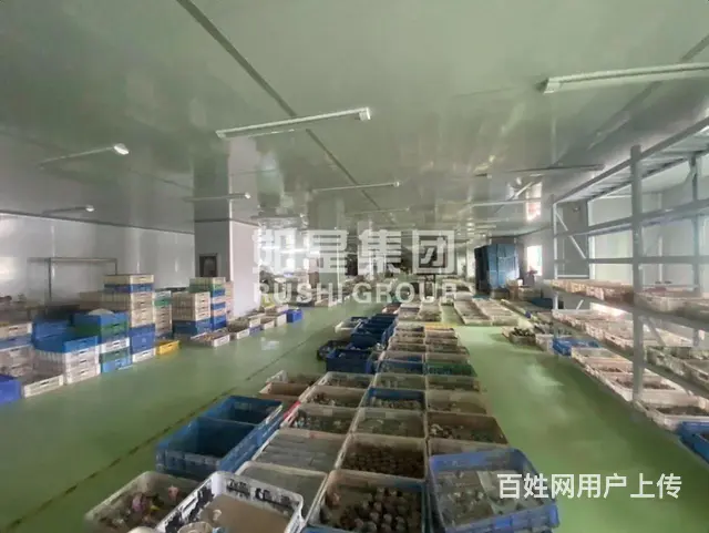 厂房专业户，随便挑，每层1000平价格美丽可进货柜 可加工 - 图片 6