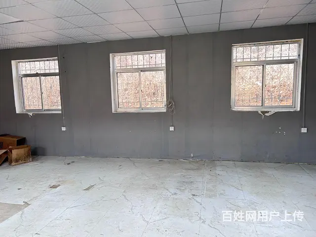 （新房源）初村独门独院一楼厂房出租 - 图片 12
