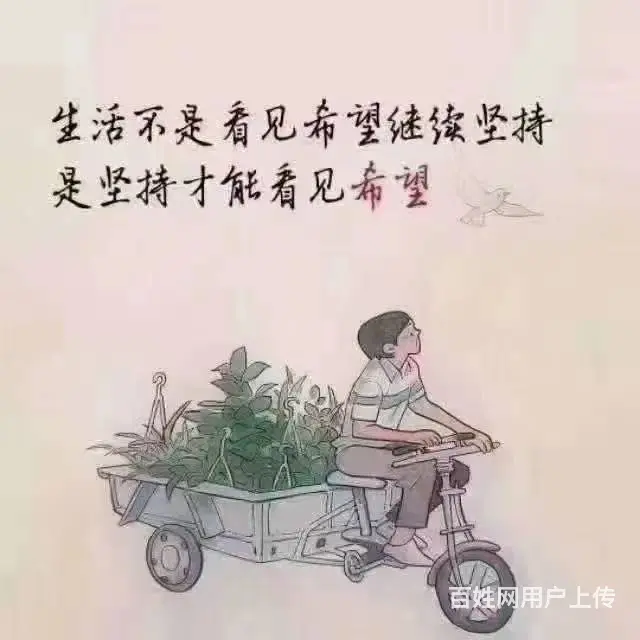 冬季到湖畔来看鱼… - 图片 6