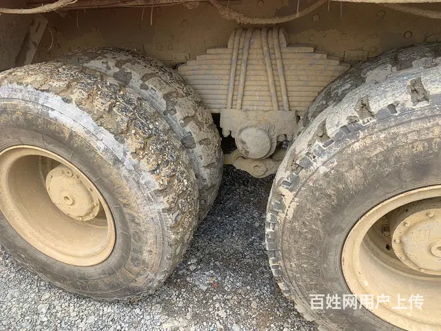 霸龙 - 图片 5