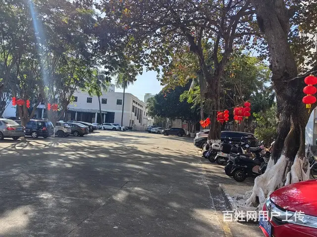 （51旺铺推荐）海垦路140平房子出租 - 图片 3