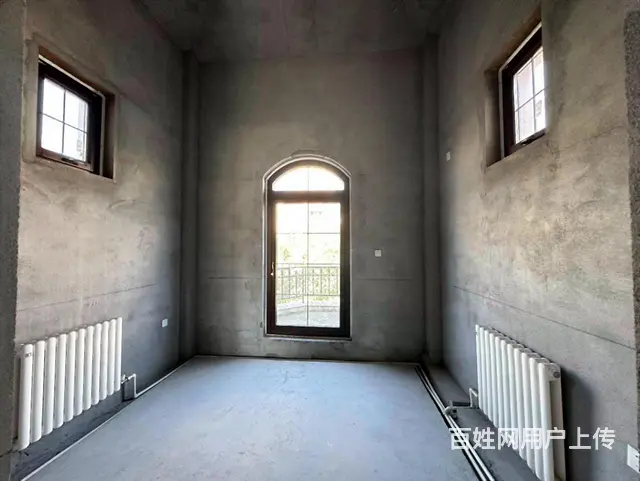 溪岸艺墅法式大双拼双首层设计 下沉式花园建500米1498万 - 图片 9