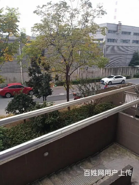 长兴县滨河家园单身公寓出租，价格750－－1000价位的 - 图片 12
