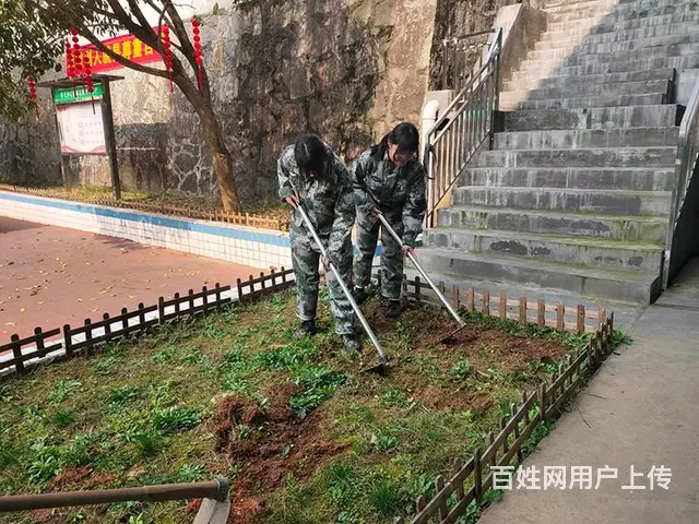 海南儋州孩子叛逆教育学校怎么报名？联系电话 - 图片 11