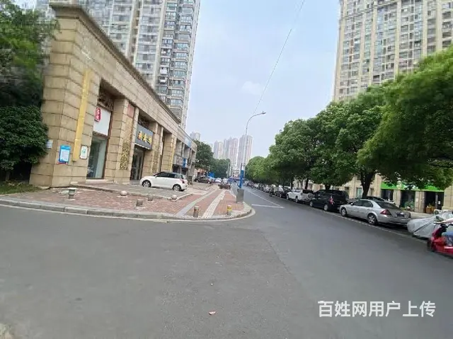 天宁区北郊旁 青山小区大门口独立商业 一拖二大开间 可做 - 图片 5