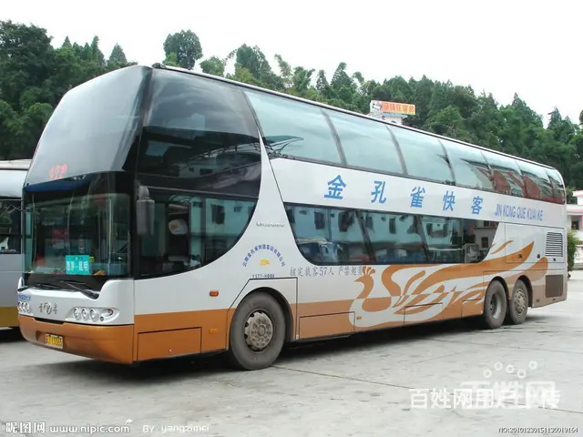 溧阳宠物托运至全国各市县直达客车 - 图片 8