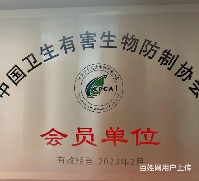 专业灭四害 - 图片 1