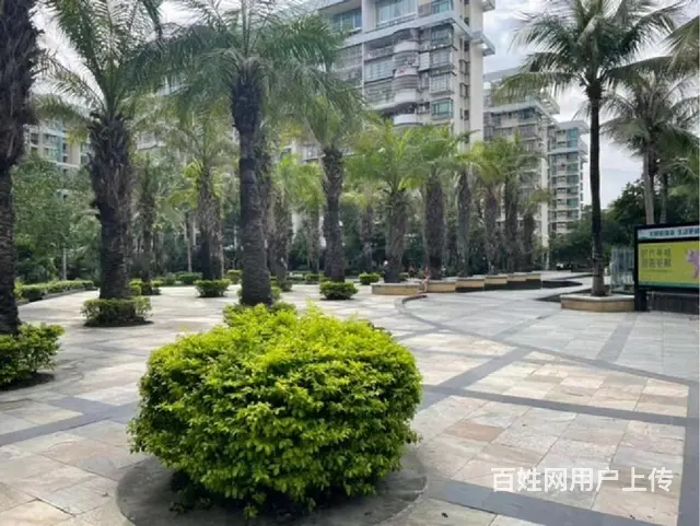 拱北口岸 春泽名园  高品质好房 精装 温馨1房1厅 - 图片 10