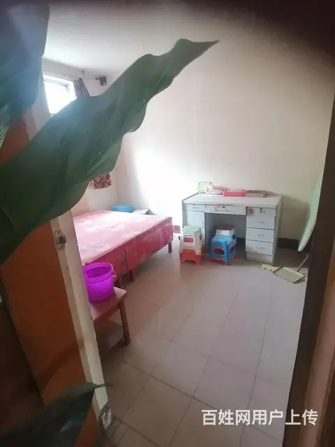 会兴乡政府家属楼 普通住宅 简单装修 - 图片 3