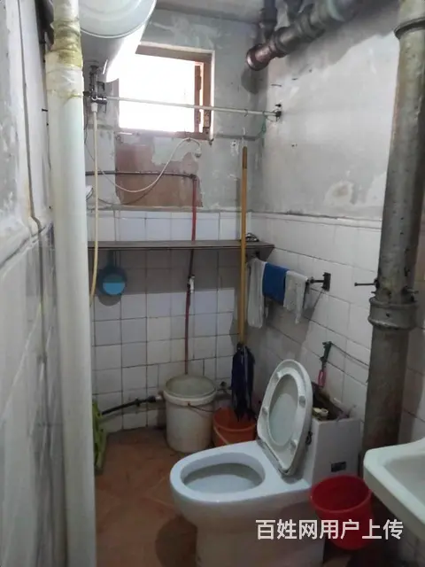 华茂小区口腔医院附近二室一厅1200 - 图片 6