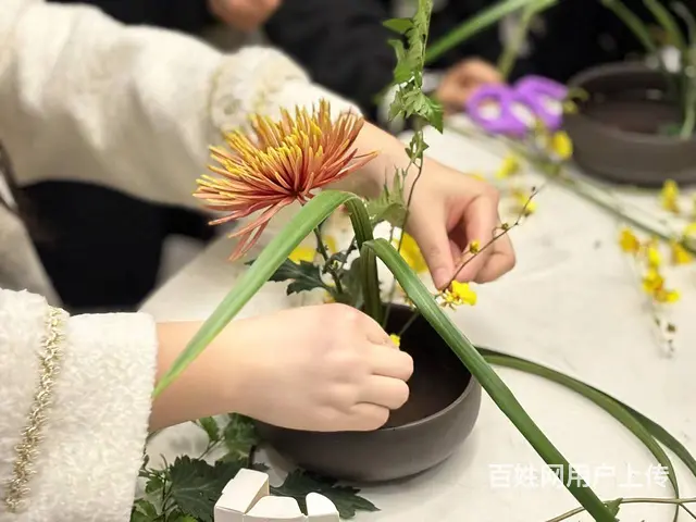 苏州姑苏区培训花艺师 植物养护哪里比较专业 - 图片 4