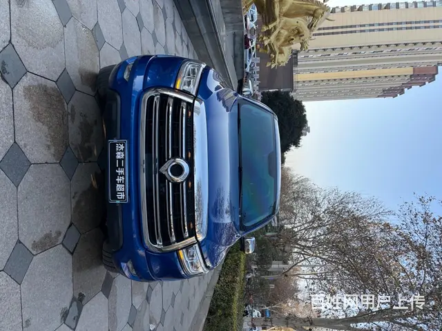 长城 炮 2019款 2.0T 自动 四驱运动版小双 - 图片 2