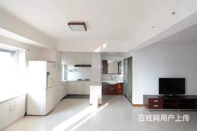 拎包入住 铁西凯旋门小区 精装修 - 图片 4