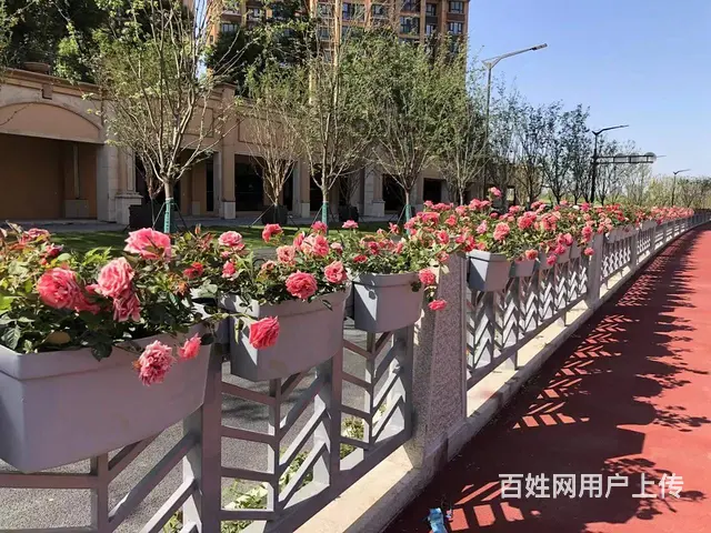 沈阳马鞍式花盆护栏挂盆生产厂家空中花廊景观种植盆 - 图片 4