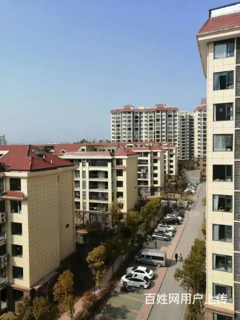 新凯花园道135四室洋房出售 - 图片 8