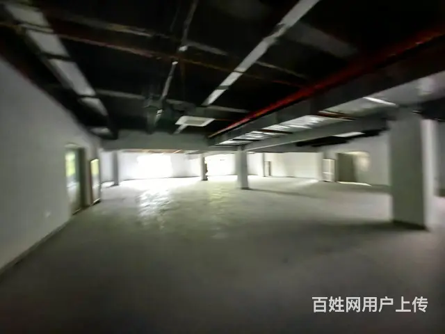 （51旺铺推荐）荔枝沟海螺农场商超2500平招商 - 图片 6
