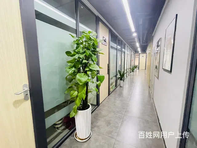 开发商直租五一商圈！网红楼盘！10人团队，拎包办公！地铁口， - 图片 8