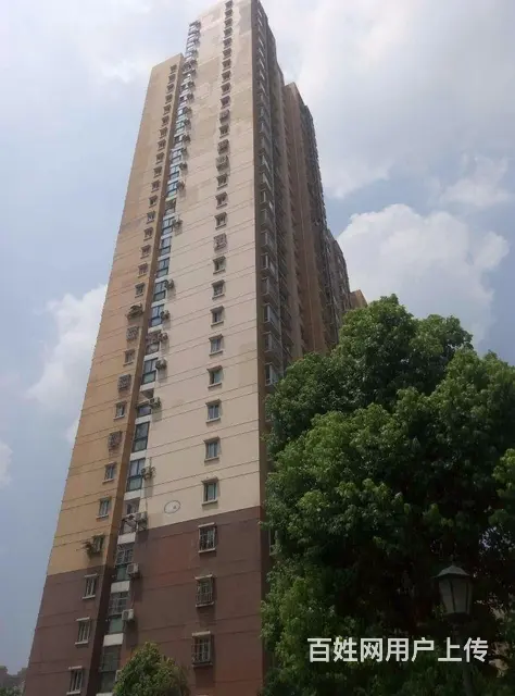 4号线中南医院 居家大两房 汉街直达青鱼嘴襄阳大厦 - 图片 10
