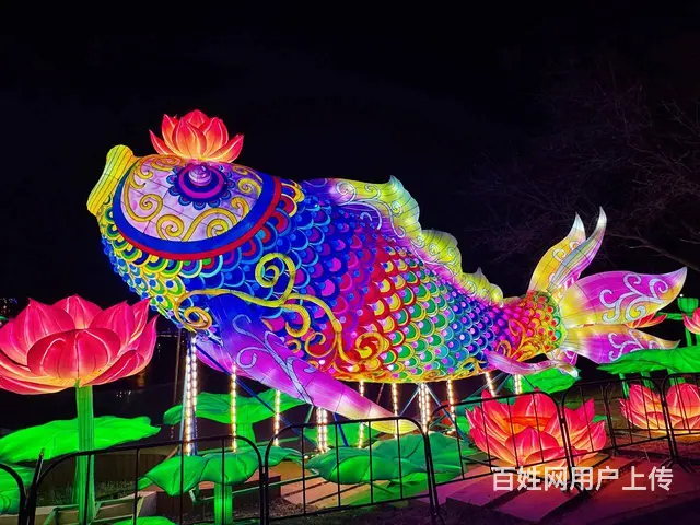 2025花灯展览灯光秀 - 图片 1