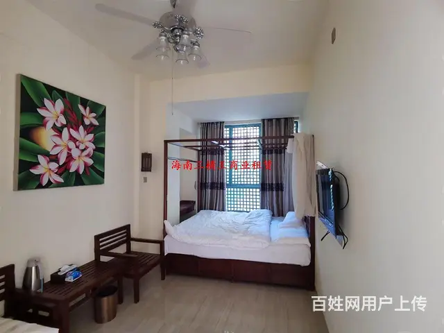 （三横王）占地2亩，1000平大独栋，值得拥有 - 图片 3