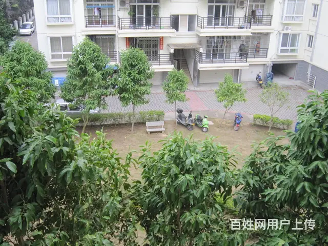 房屋出租：嘉泰文华苑3房2厅2 普通住宅2厅 精装修 - 图片 4