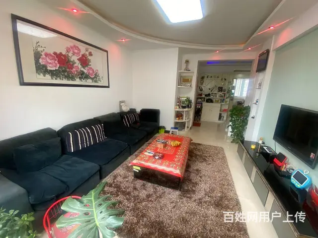 南昌路 洛浦公园  明珠花园  精装三居  电梯双气 - 图片 2