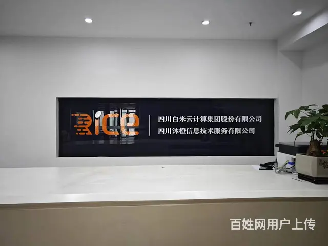 成都国际物流系统、智慧农业、智慧工厂系统开发 - 图片 2