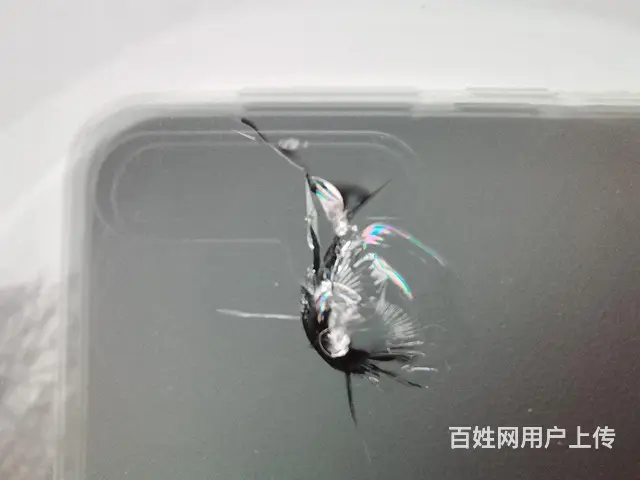 大邑本地附近哪里有修补挡风玻璃的 专业技术 - 图片 5