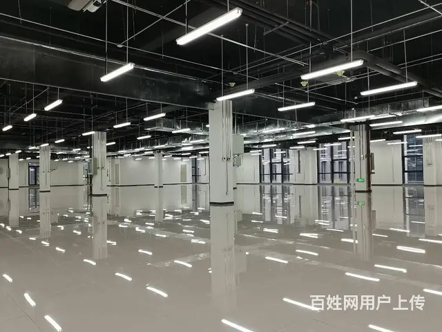 四层5700平独栋办公楼  沈阳国际软件园甲方招商 送免租期 - 图片 8