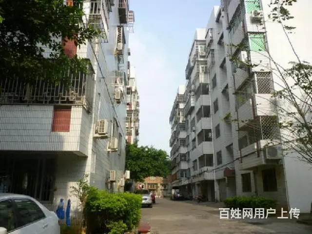 国兴商圈      大天花园3房楼梯房 - 图片 12