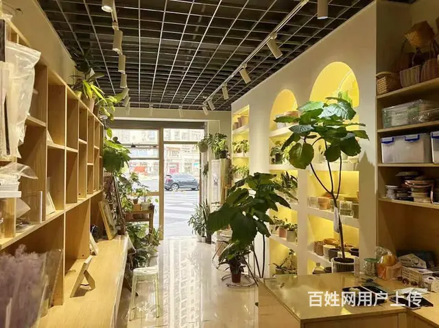 （兴铺）长虹国际城路口转角旺铺空转行业不限制 - 图片 5