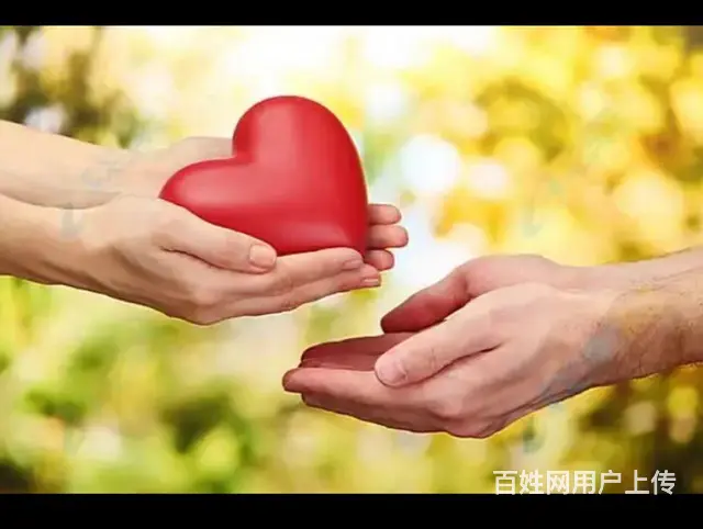 陪练车 - 图片